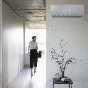 pompe à chaleur air-air de la marque Daikin